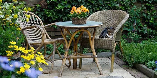 10 Best Plants for your Deck